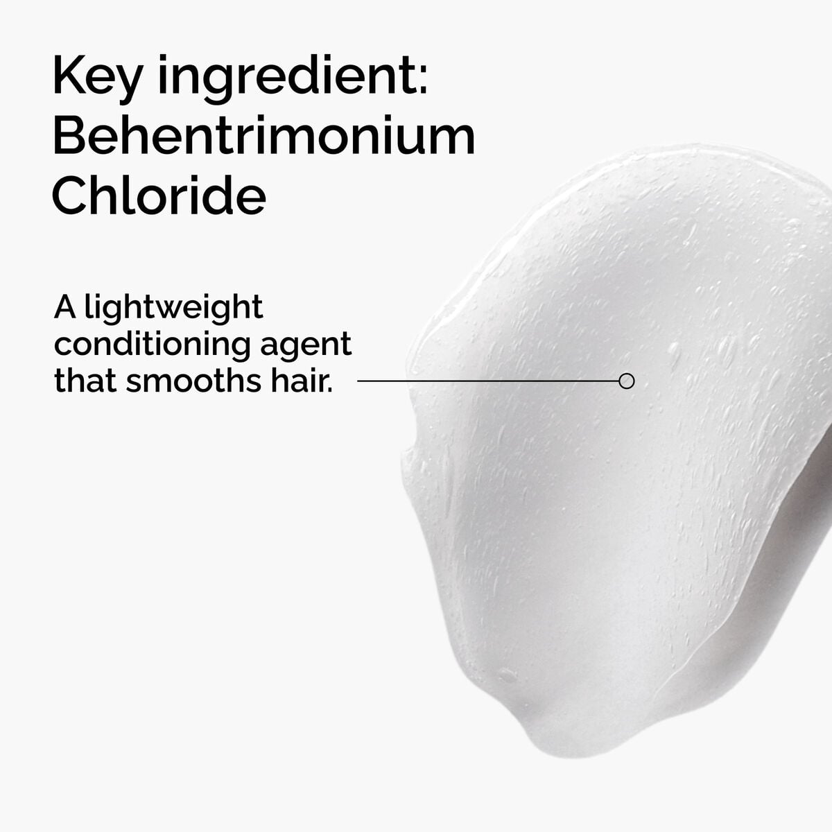 behentrimonium-chloride-2-conditioner-m5 FY25-D41247-ORD-Web-PDP-BTC-1x1-EN-2a.jpg