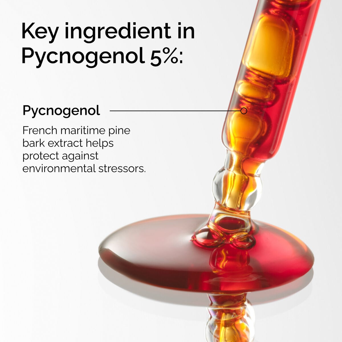 pycnogenol-5-k3 FY25-D41247-ORD-Web-PDP-Pyc-5pct-1x1-EN-2a.jpg