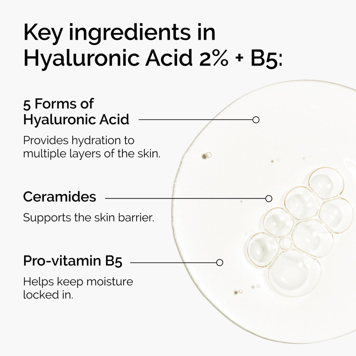 hyaluronic-acid-2-b5-with-ceramides-y6 ord-hyaluronic-acid-2pct-b5-hydrating-serum-ingredients-graphic.jpg