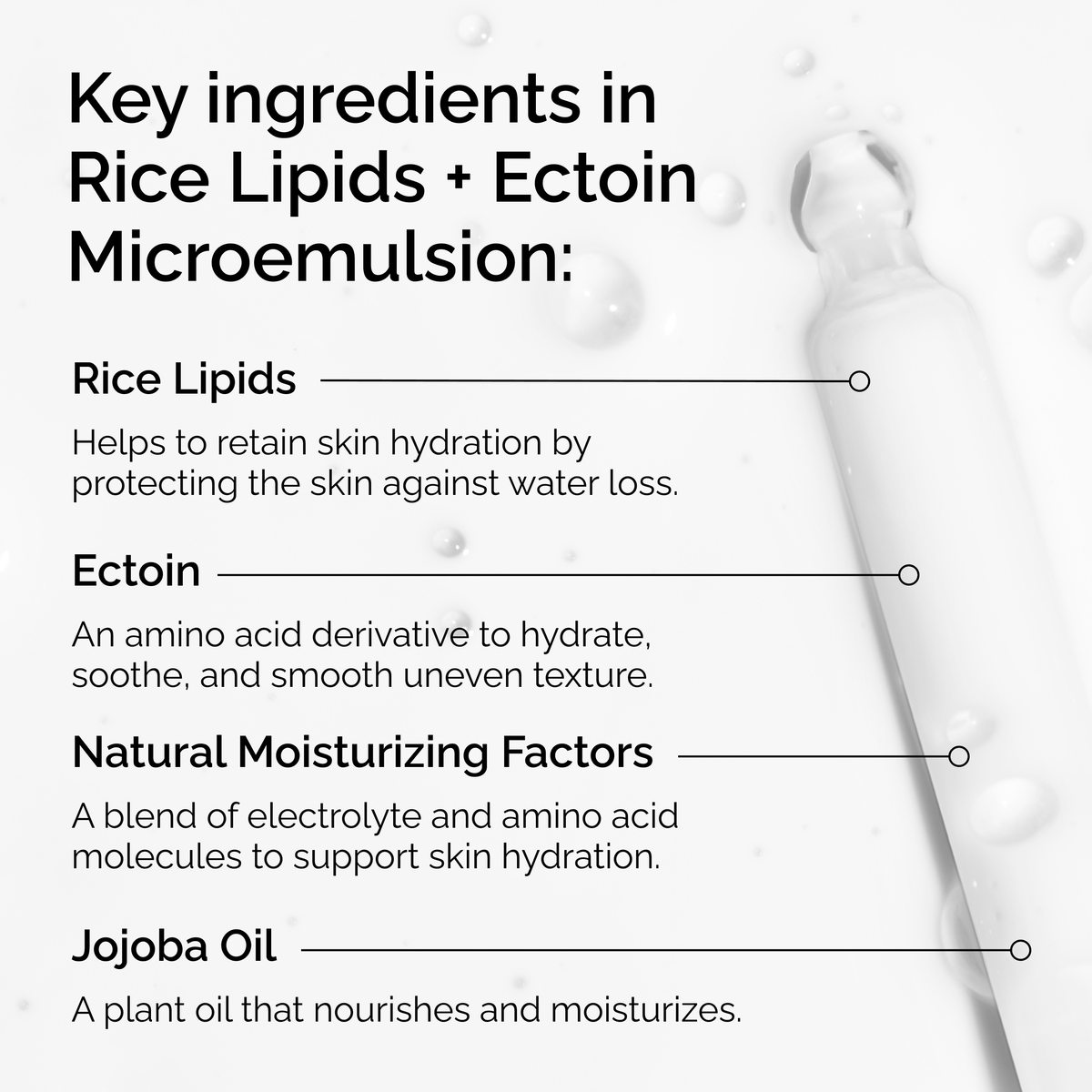 rice-lipids-ectoin-microemulsion-p2 ord-rice-lipids-ectoin-microemulsion-key-ingredients.png