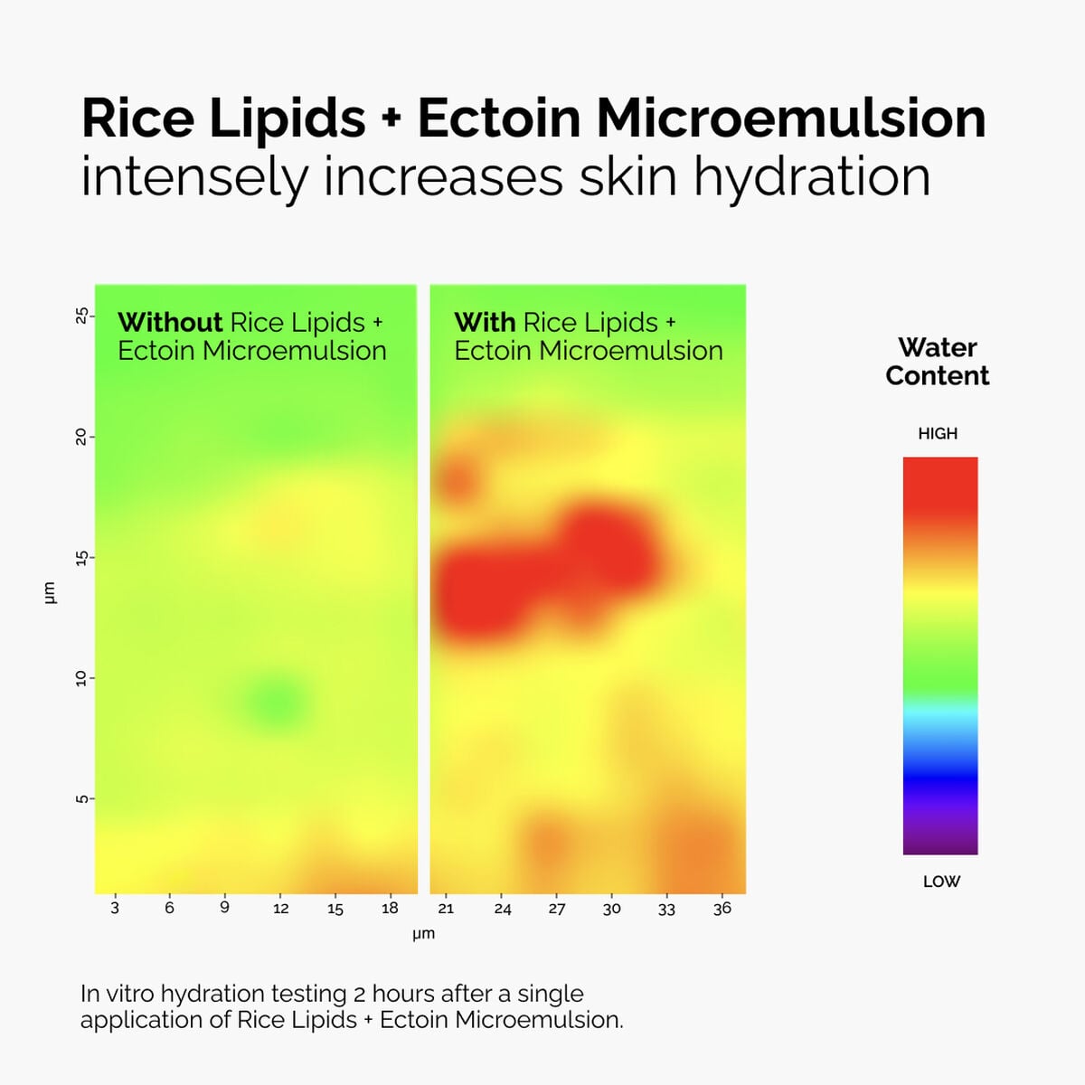 rice-lipids-ectoin-microemulsion-p2 ord-rice-lipids-ectoin-microemulsion-thermal-before-after.jpg